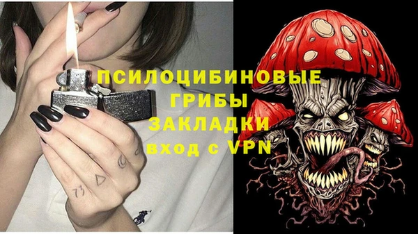 PSILOCYBIN Вязьма