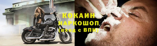 PSILOCYBIN Вязьма
