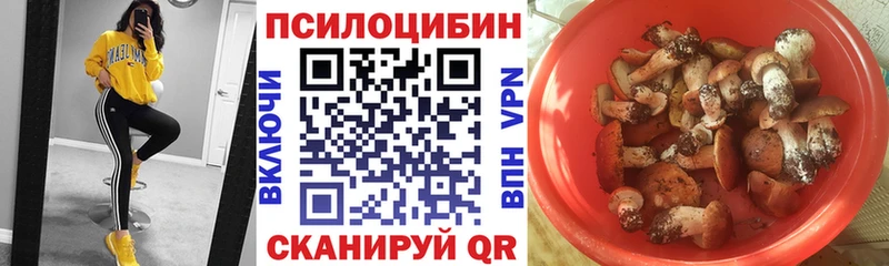 Галлюциногенные грибы Cubensis Железногорск